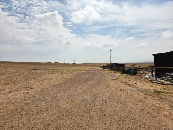 Olifants Oog, Cape Farms