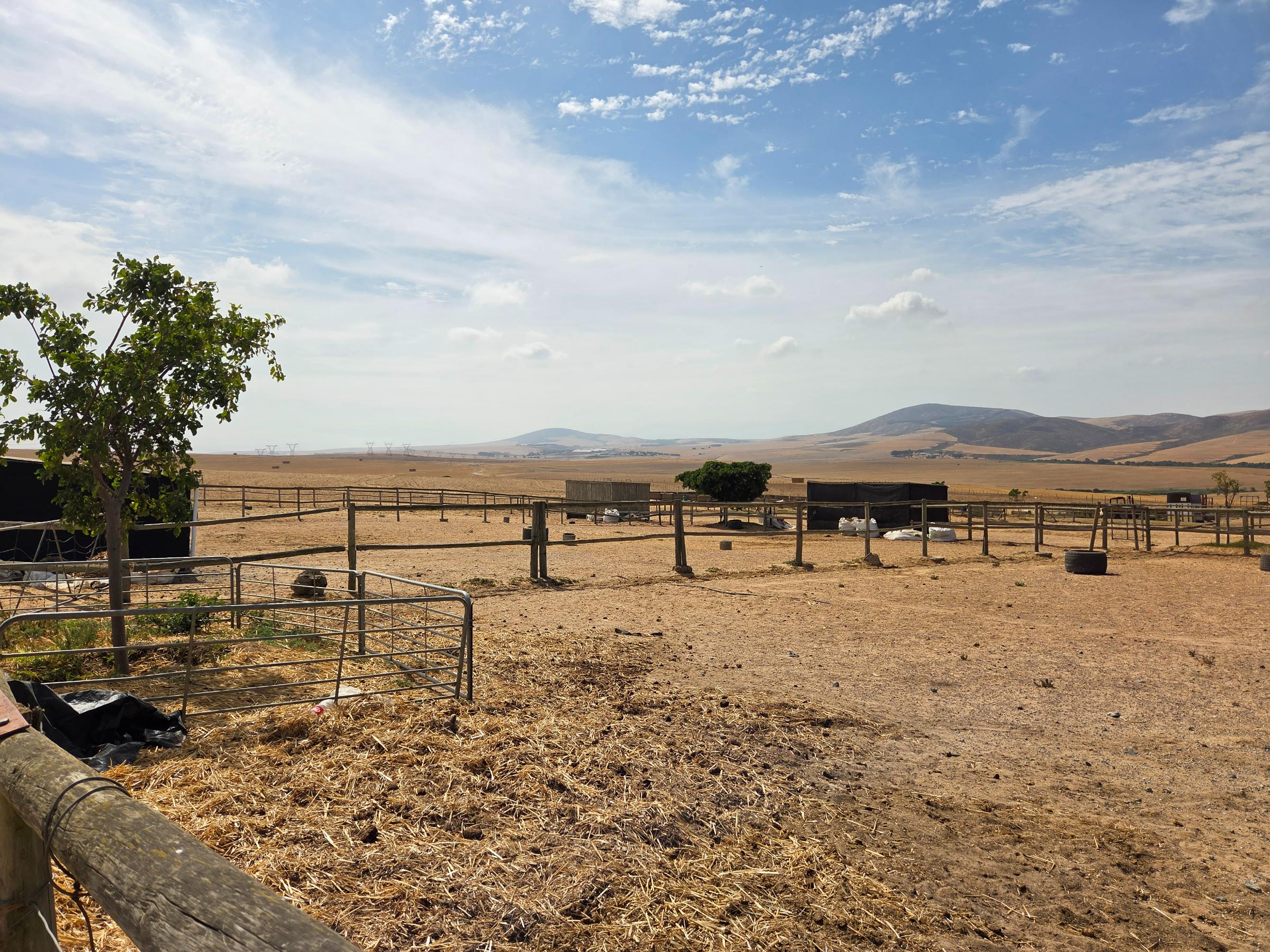 Olifants Oog, Cape Farms