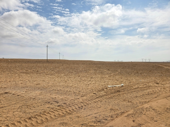 Olifants Oog, Cape Farms