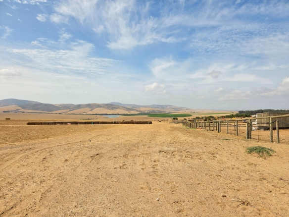 Olifants Oog, Cape Farms