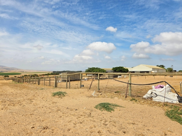 Olifants Oog, Cape Farms