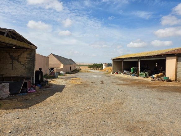 Olifants Oog, Cape Farms