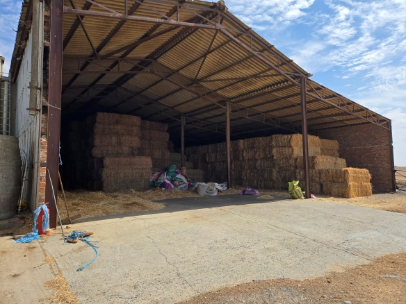 Olifants Oog, Cape Farms