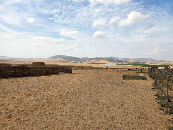 Olifants Oog, Cape Farms