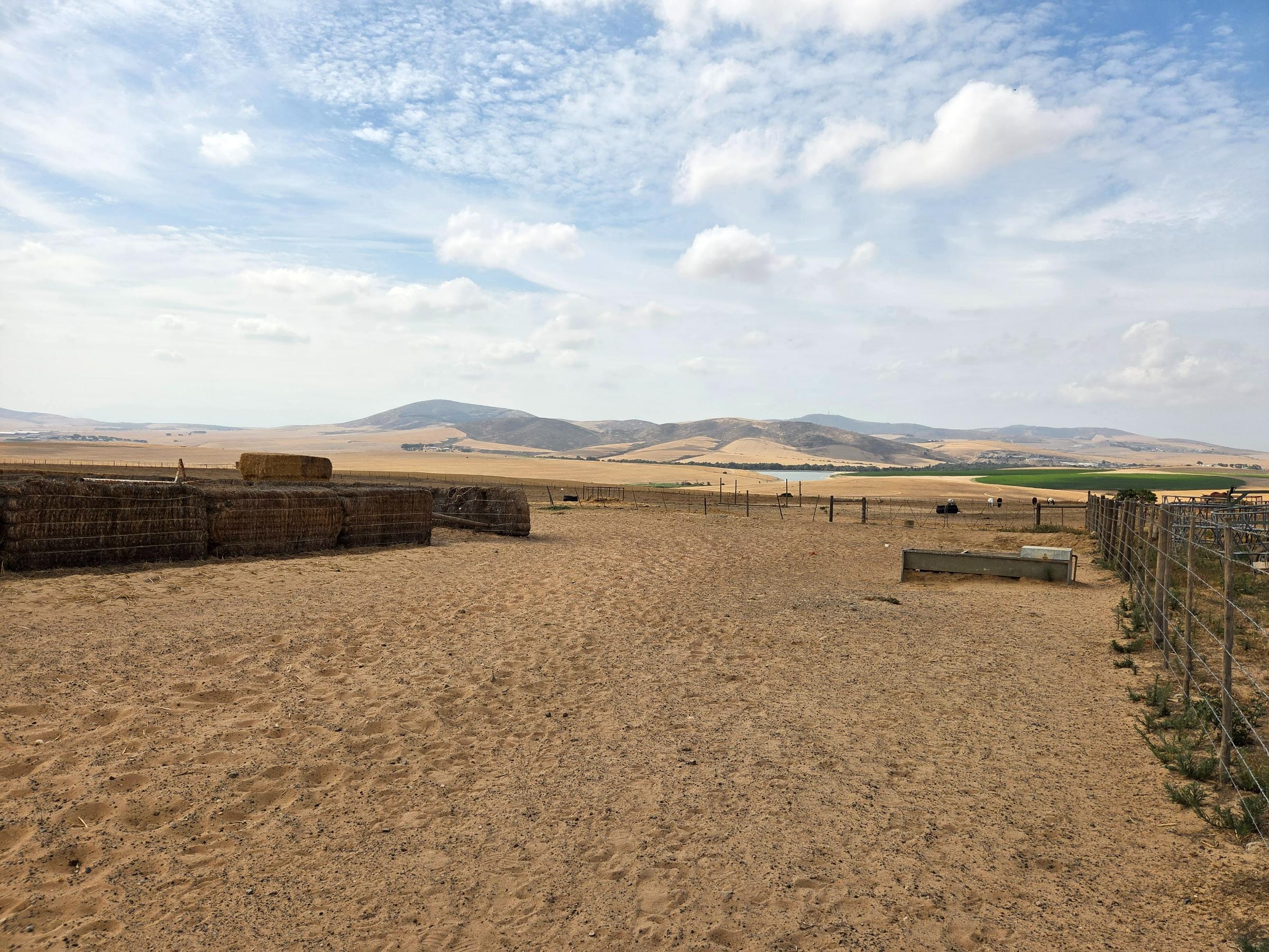 Olifants Oog, Cape Farms
