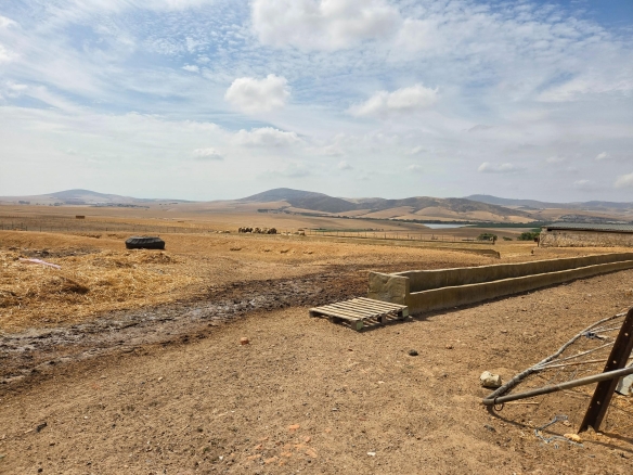 Olifants Oog, Cape Farms