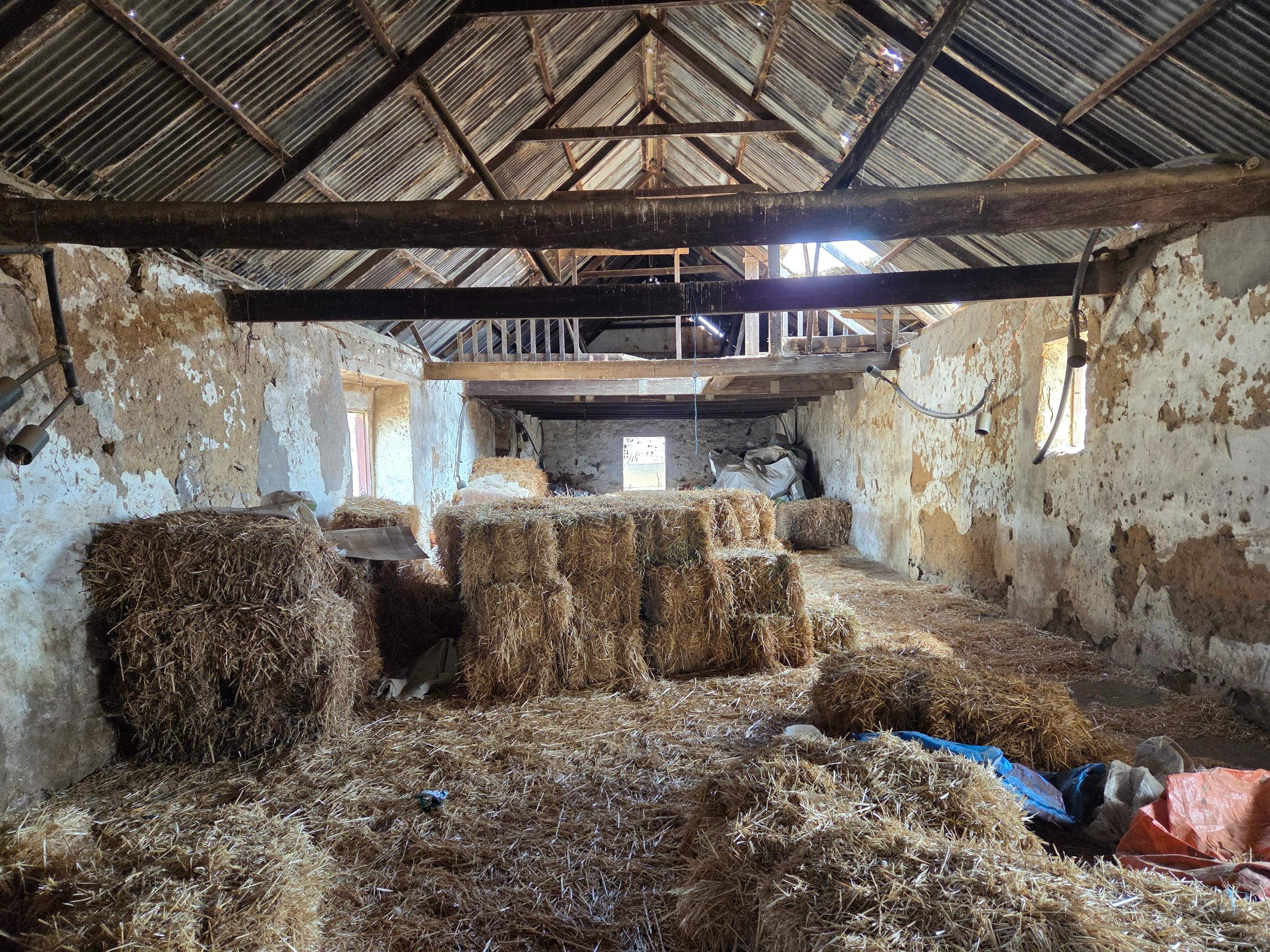 Olifants Oog, Cape Farms