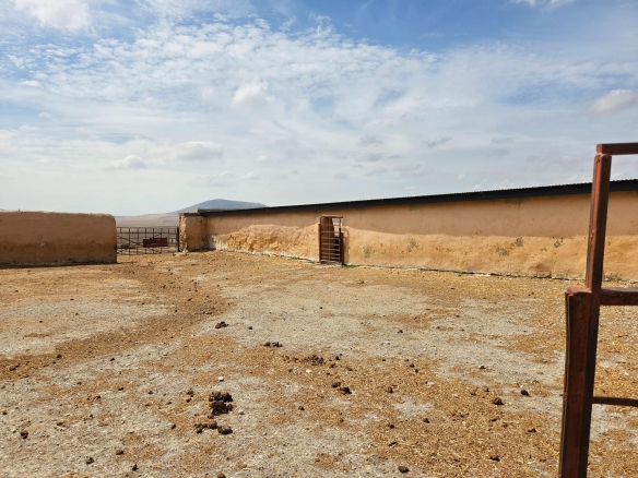 Olifants Oog, Cape Farms