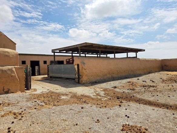 Olifants Oog, Cape Farms