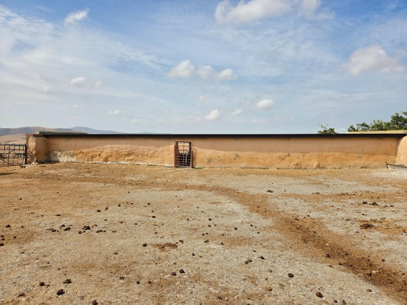 Olifants Oog, Cape Farms
