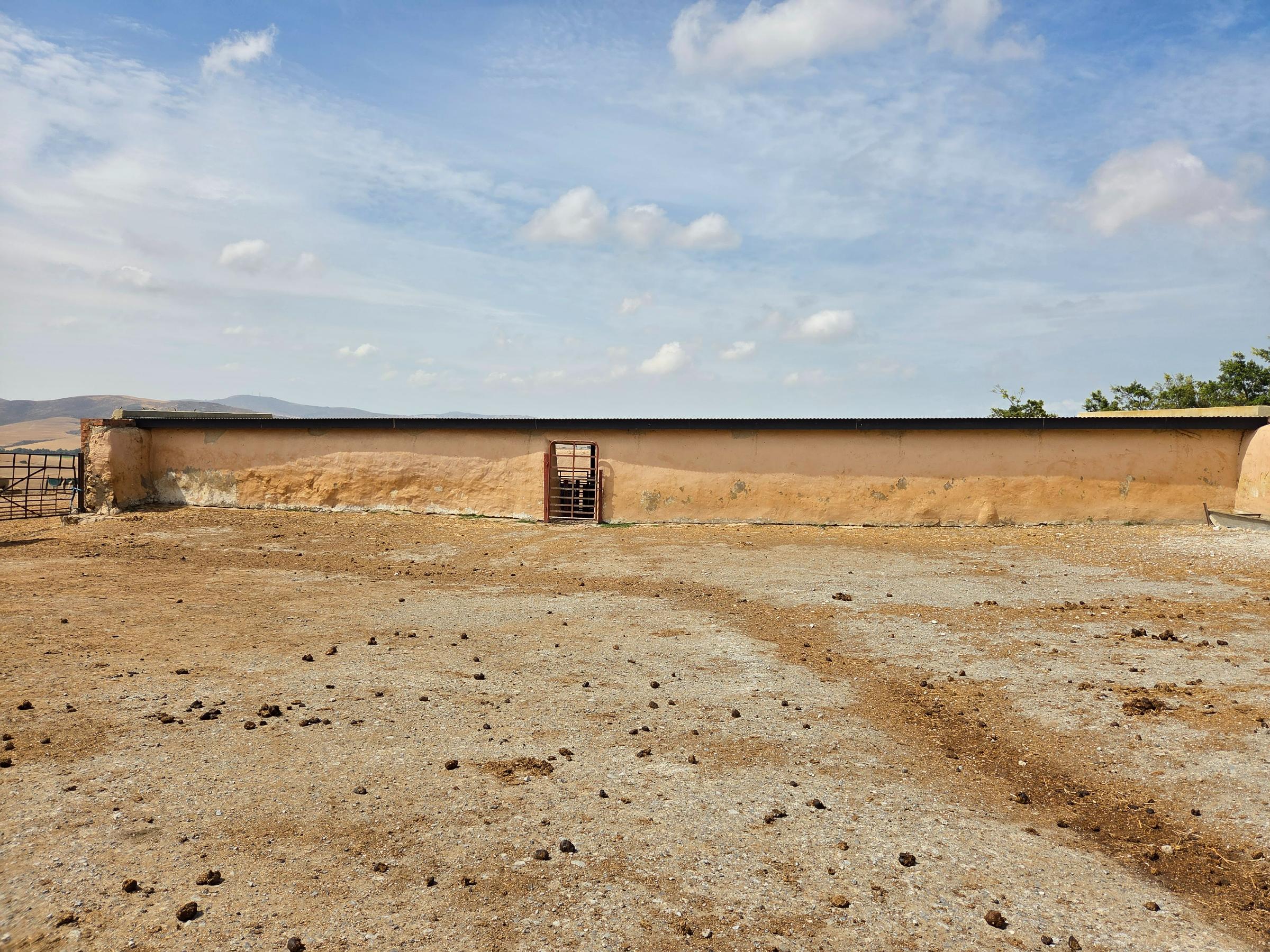 Olifants Oog, Cape Farms