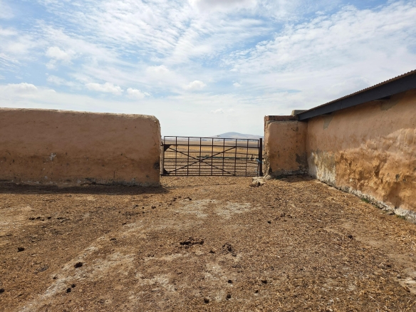 Olifants Oog, Cape Farms
