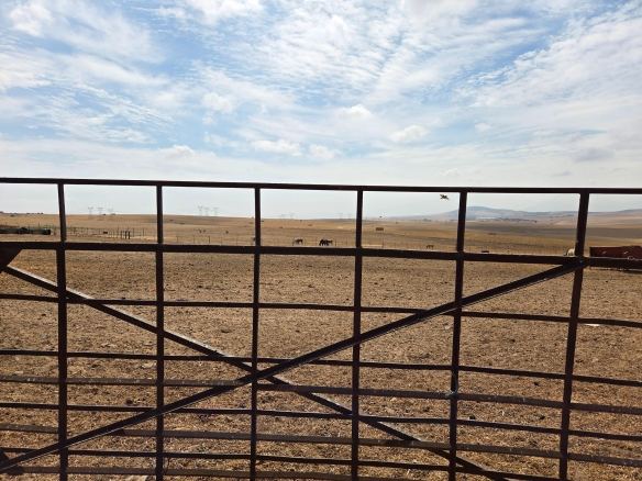Olifants Oog, Cape Farms