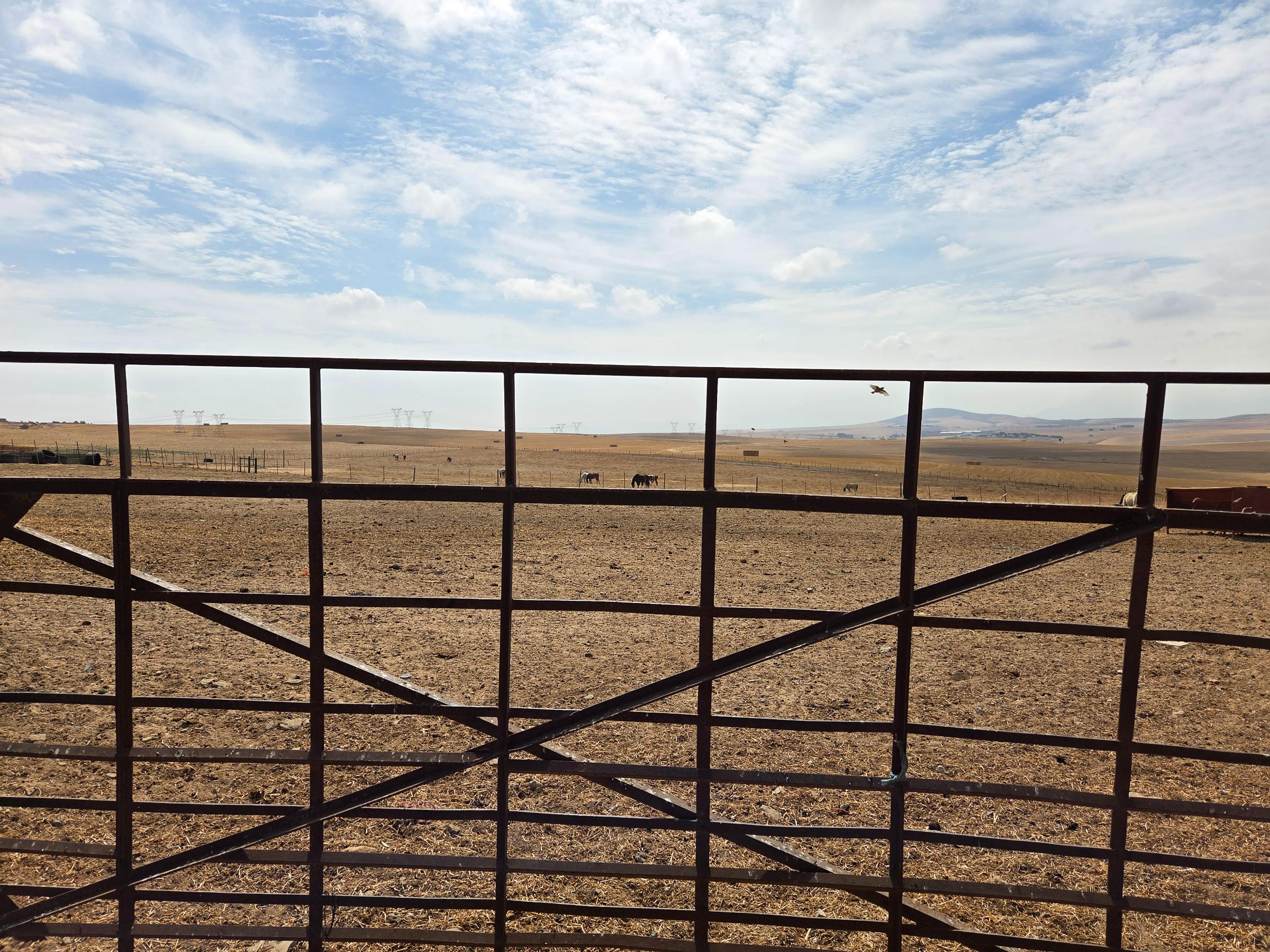Olifants Oog, Cape Farms