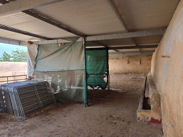 Olifants Oog, Cape Farms