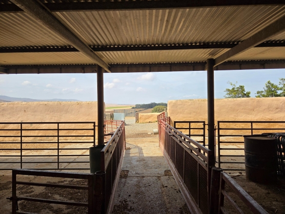Olifants Oog, Cape Farms