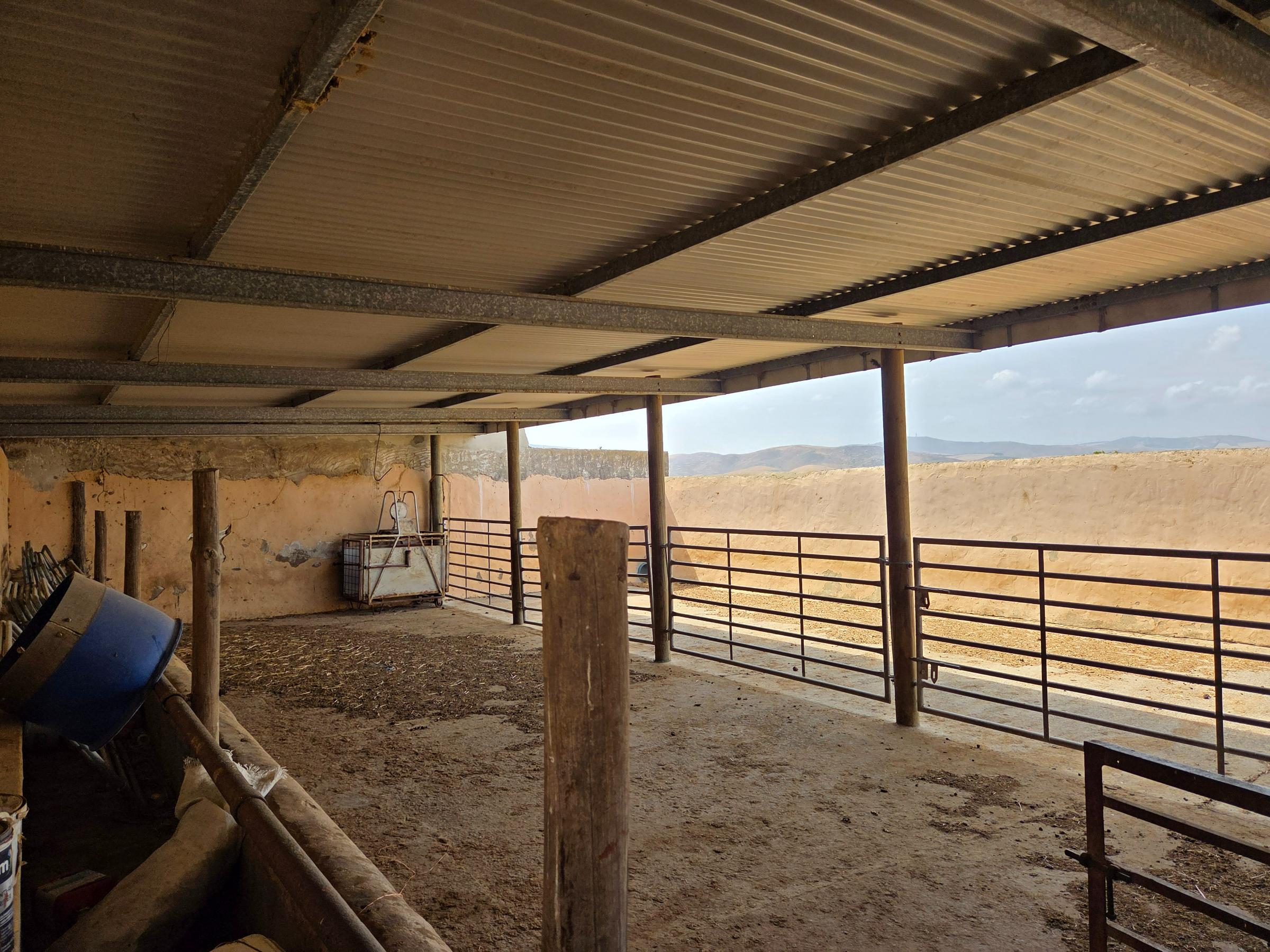 Olifants Oog, Cape Farms