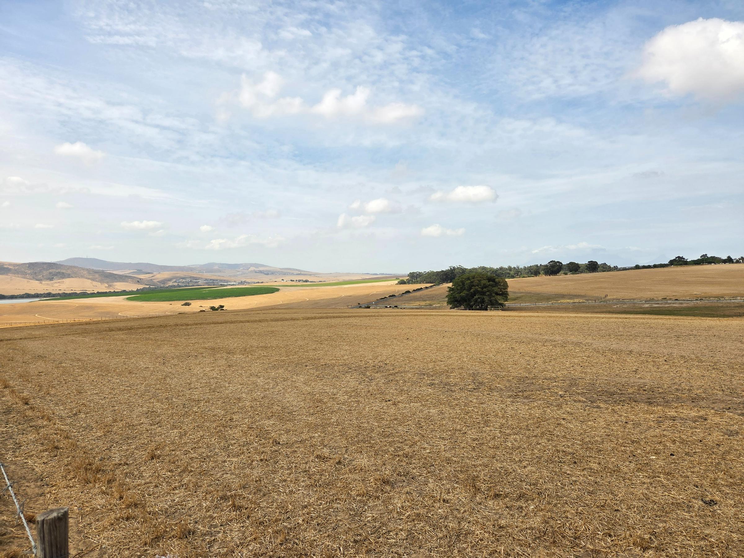 Olifants Oog, Cape Farms