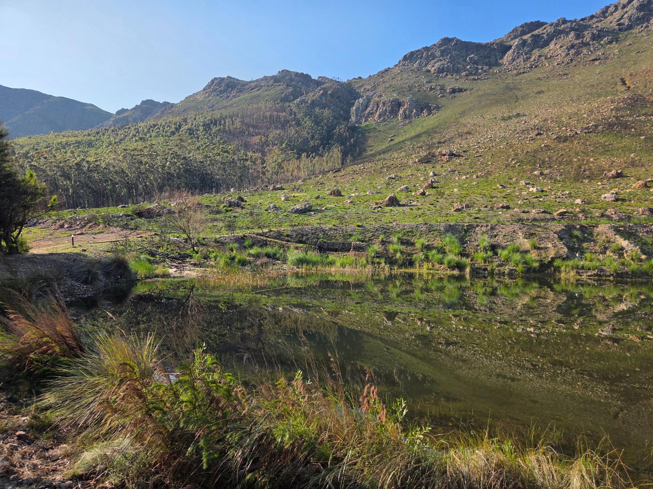 Wilderberg, Franschhoek