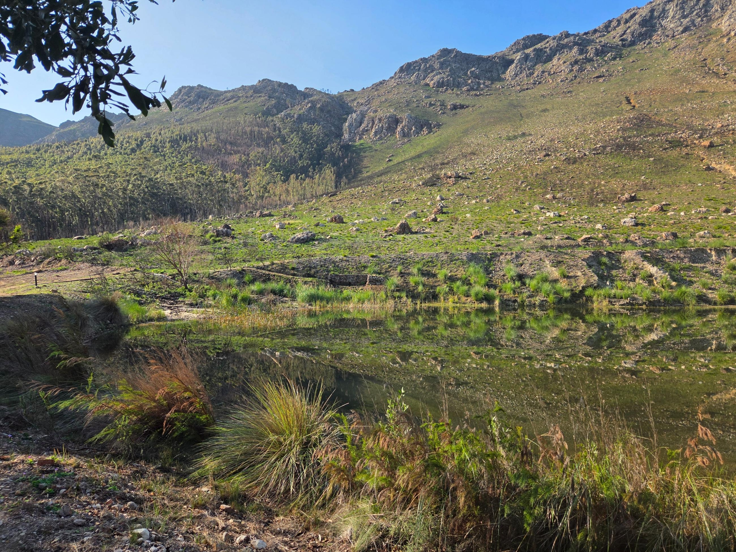Wilderberg, Franschhoek