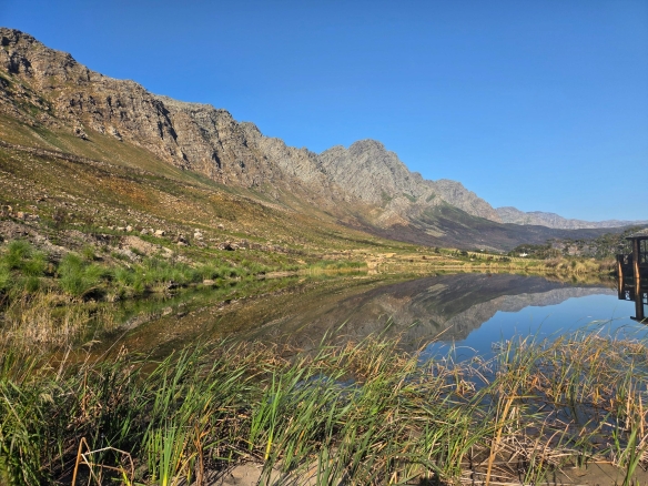 Wilderberg, Franschhoek
