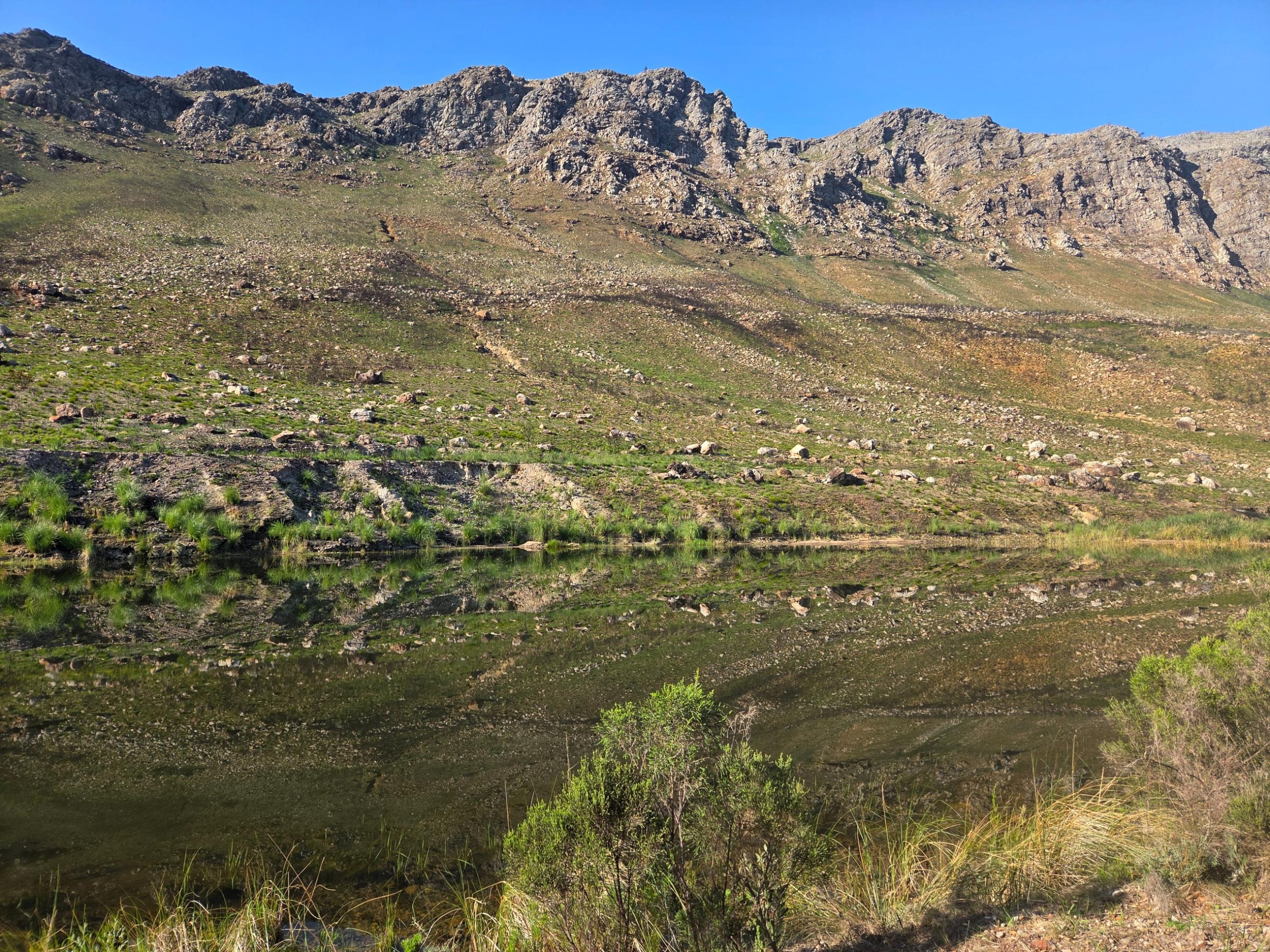 Wilderberg, Franschhoek