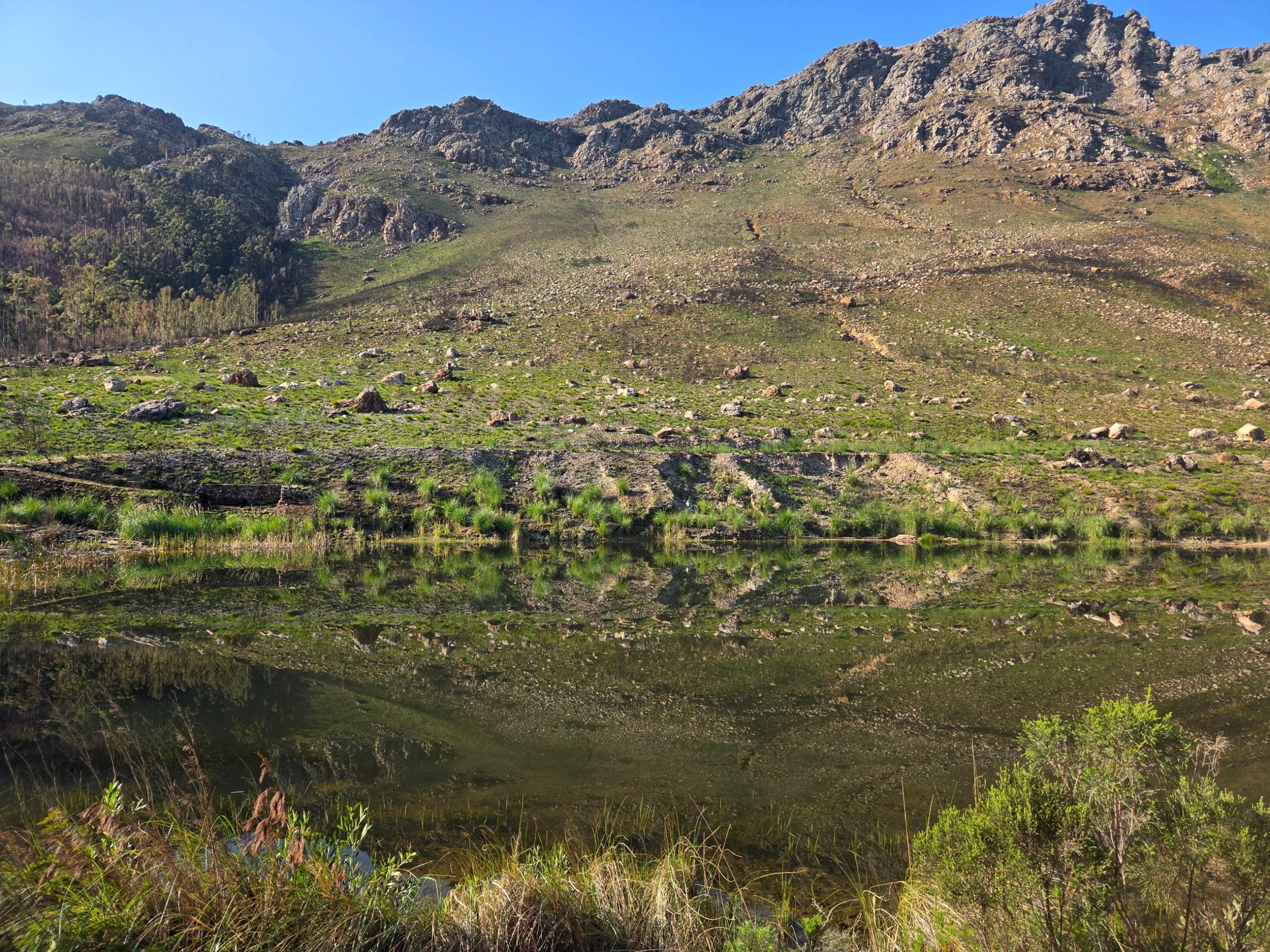 Wilderberg, Franschhoek