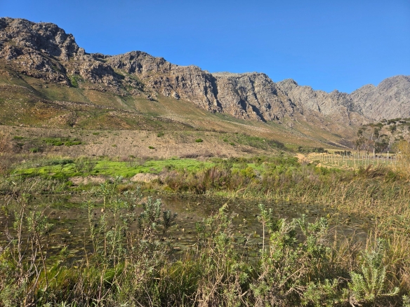 Wilderberg, Franschhoek
