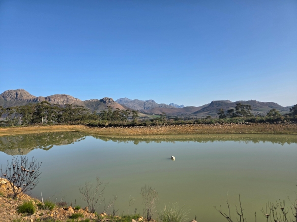 Wilderberg, Franschhoek