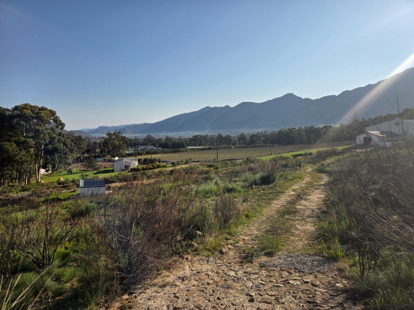 Wilderberg, Franschhoek