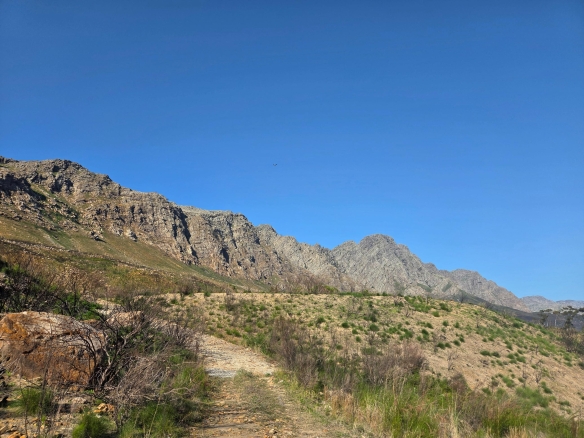 Wilderberg, Franschhoek