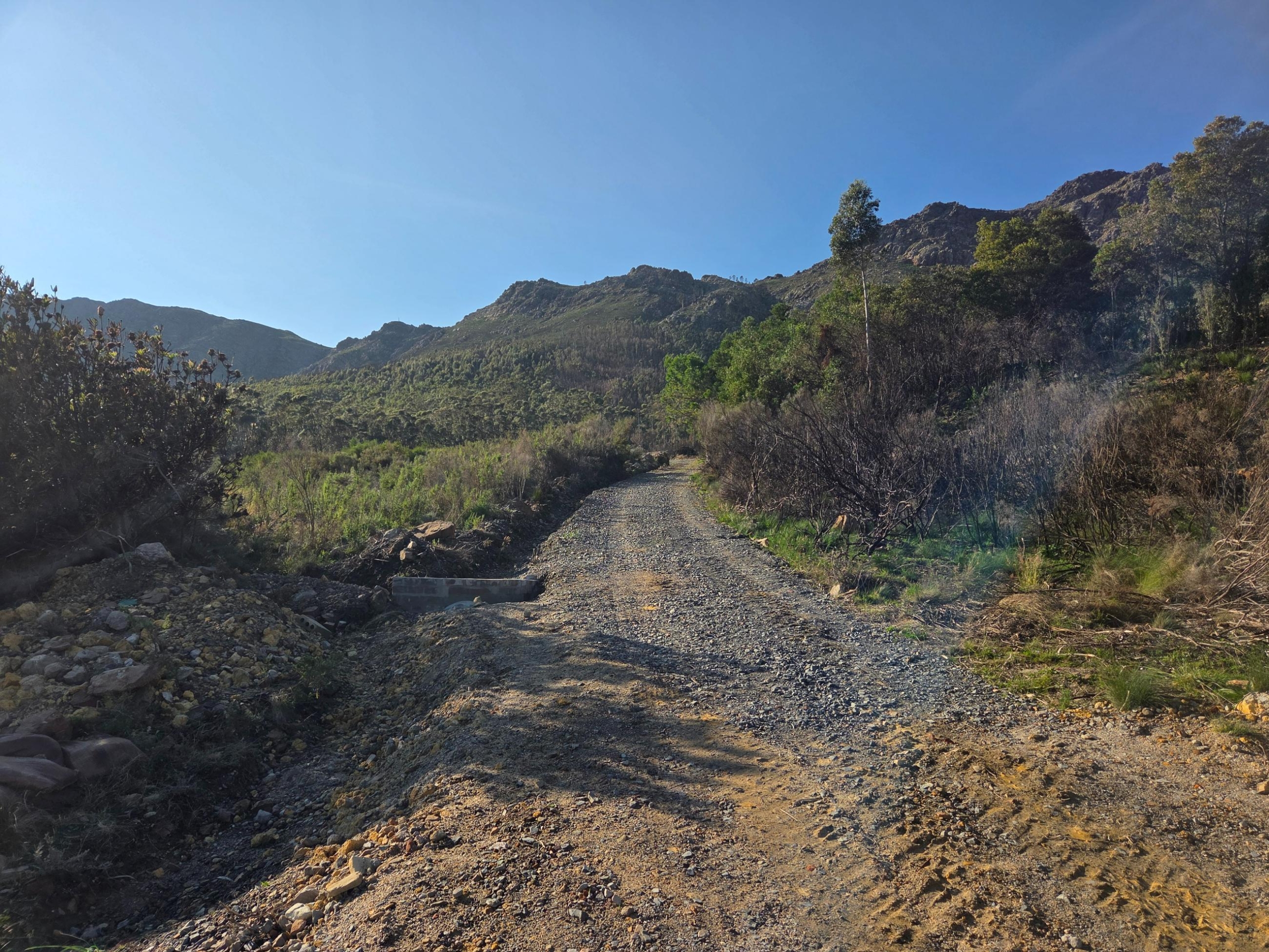 Wilderberg, Franschhoek