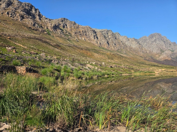 Wilderberg, Franschhoek