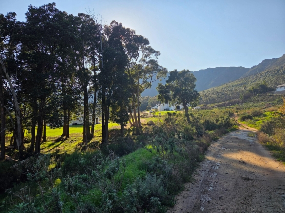 Wilderberg, Franschhoek