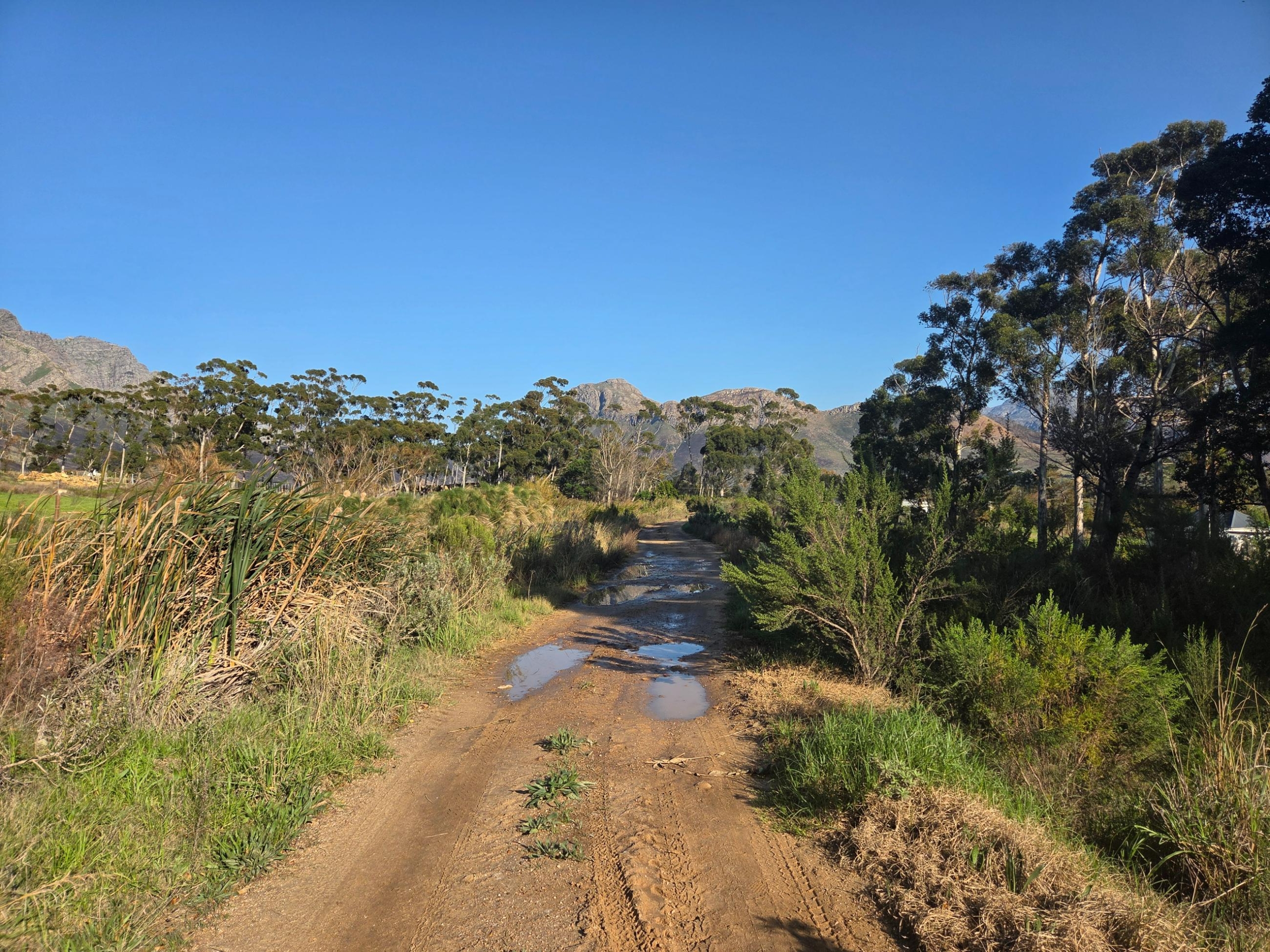Wilderberg, Franschhoek