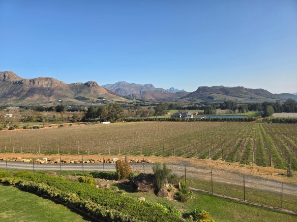 Wilderberg, Franschhoek